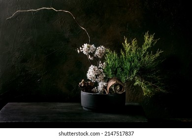 Spring ikebana. Floral composition with spring blooming white flowers, thuja branch and stones in black ceramic bowl, standing on black wooden table. Japanese style home decor - Powered by Shutterstock