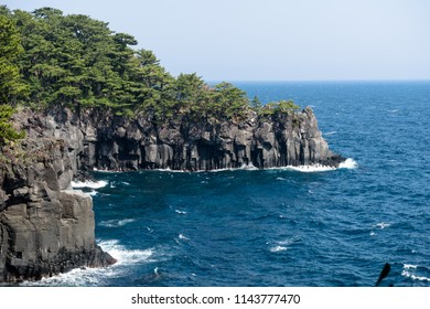 Spring Jogasaki Coast