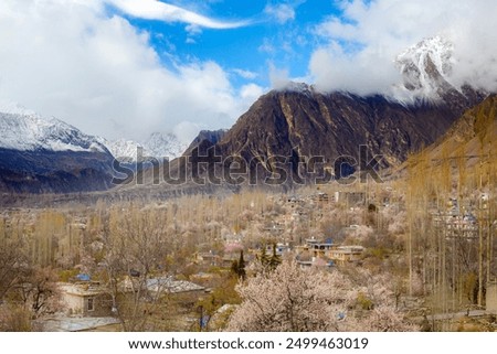 Spring, also known as springtime, is one of the four temperate seasons, succeeding winter and preceding summer. blossom in hunza, gilgit baltistan, Pakistan