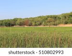 Spring landscape