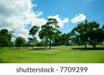 Spring landscape