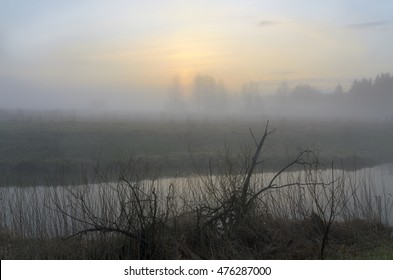 Spring landscape
