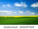 Spring landscape with blossomin rape fields and blue sky