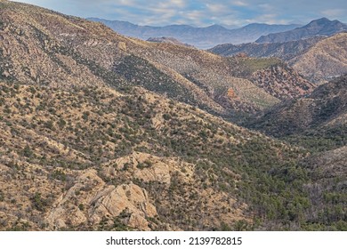 Spring Landscape Of The Chiricahua National Monument, Arizona, USA