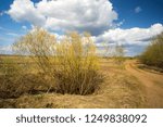 Spring landscape with clouds