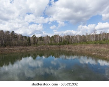 Spring landscape with cloudy sky and forest