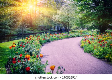 Spring landscape with colorful tulips. Keukenhof garden, Netherlands 