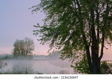 Spring Landscape At Dawn Of Jackson Hole Lake In Fog With Mirrored Reflections In Calm Water, Fort Custer State Park, Michigan, USA