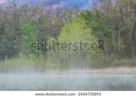 Spring landscape at dawn of the shoreline of Deep Lake in fog with mirrored reflections in calm water, Yankee Springs State Park, Michigan, USA
