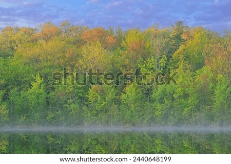 Spring landscape at dawn of the shoreline of Long Lake with fog and with mirrored reflections in calm water, Yankee Springs State Park, Michigan, USA