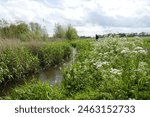 spring landscape with ditch lined by vegetation and walker under cloudy sky
