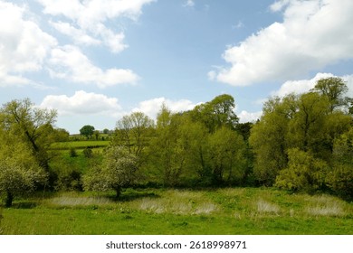 Spring Landscape. Fields, grass, trees, blue sky, clouds, peaceful, no people, tranquility. Milburn Port, Dorset UK