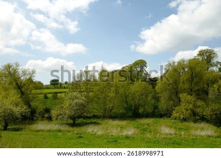 Spring Landscape. Fields, grass, trees, blue sky, clouds, peaceful, no people, tranquility. Milburn Port, Dorset UK