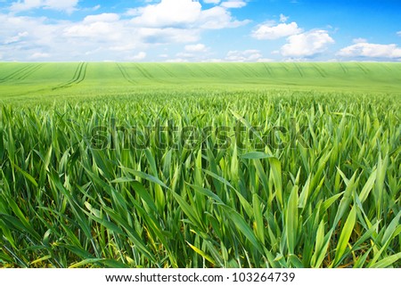 Similar – Image, Stock Photo agriculture Close-up