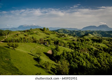 Spring landscape with green meadow and trees - Shutterstock ID 645931951