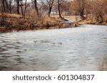Spring landscape. Ice and reflection of trees on the lake in the forest