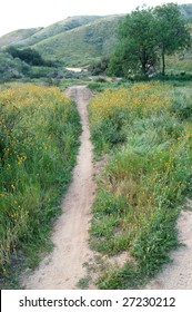 Spring Landscape; Loma Linda, California