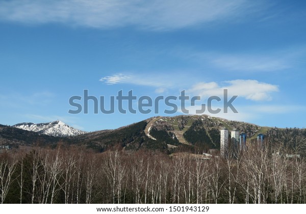 Spring landscape of mountain highway forest in\
Hokkaido, Japan