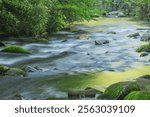 Spring landscape of the Oconaluftee River captured with motion blur and illuminated by reflected color from sunlit foliage, Great Smoky Mountains National Park, North Carolina, USA