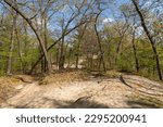 Spring landscape on the Bluff Trail at Starved Rock State Park, Illinois, USA.