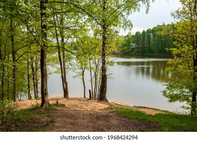 Spring landscape of pine forest on the river bank - Shutterstock ID 1968424294