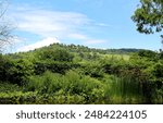 Spring landscape in Riehen near Basel