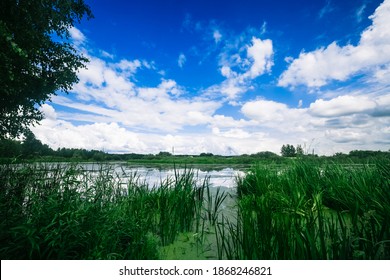 Spring landscape with the river and white clouds in the sky. Thickets of reeds in calm river. - Shutterstock ID 1868246821