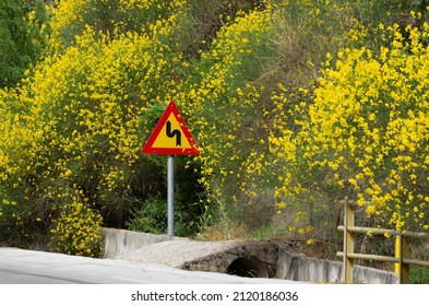 Spring landscape with a road sign 'Dangerous turn ahead' and a yellow bush of a Spartium or Spanish broom (Rhodes, Greece) - Shutterstock ID 2120186036