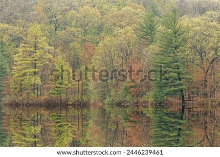 Spring landscape of the shoreline of Hall Lake with mirrored reflections in calm water, Yankee Springs State Park, Michigan, USA