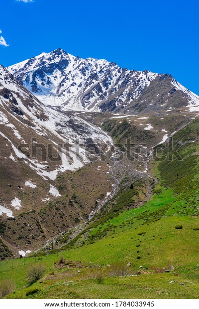Spring landscape,
snow melts in the
mountains.