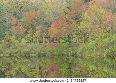Spring landscape at sunrise of the shoreline of Long Lake with mirrored reflections in calm water, Yankee Springs State Park, Michigan, USA