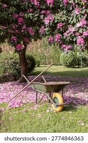 spring landscaping work featuring a rake and wheelbarrow among scattered pink petals on green grass