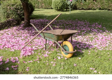 spring landscaping work featuring a rake and wheelbarrow among scattered pink petals on green grass