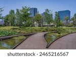  Spring lilies at ecological lake in Petah Tikva Park, Israel.