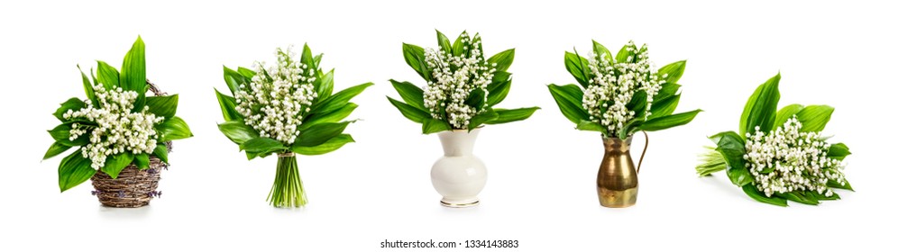 Banner For Flowers In Vase Photos 6 759 Stock Image Results