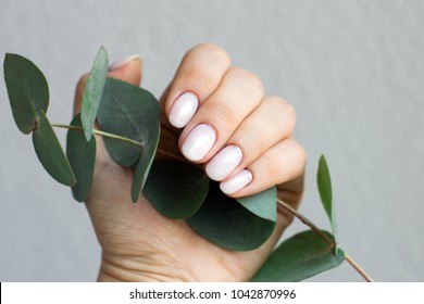 Spring Manicure In Pastel Colors And Sparkles, Female Hands With Manicure And A Branch Of Eucalyptus