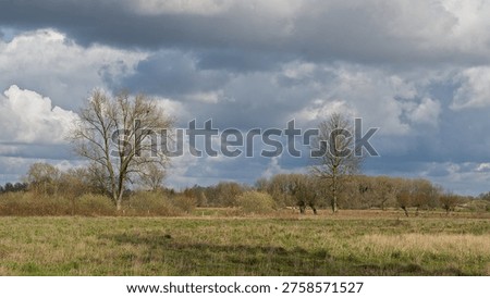 spring marsh landscape under dark rainclouds in Bourgoyen nature reserve, Ghent, Flanders, Belgium