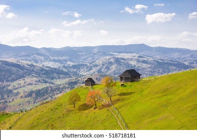 Spring Meadow.