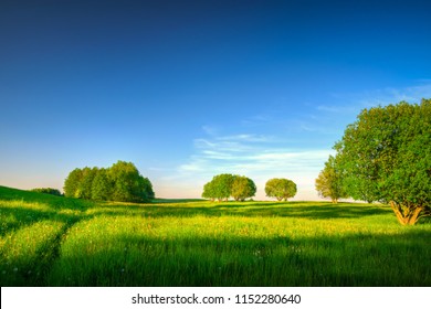 Spring Meadow Among Trees. May Landscape. Masuria, Poland.