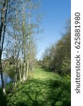 Spring Meadows