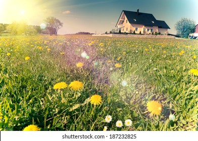 Spring Meadows Around A Rural House, Tinted Image