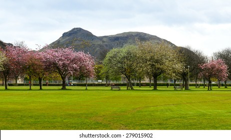 Spring In Meadows Park, Edinburgh, With Arthurs Seat View