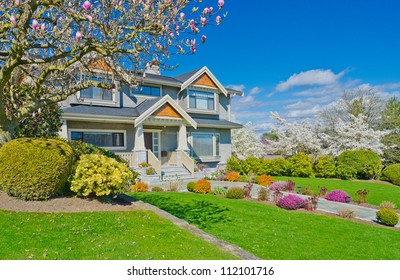 Spring Memory, Sherry Blossom Time. Big Custom Built Luxury  Home In The Suburbs Of Vancouver, Canada