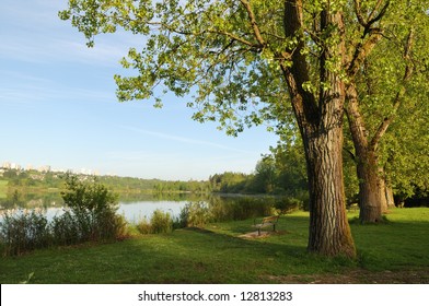 Spring Morning At Deer Lake Park