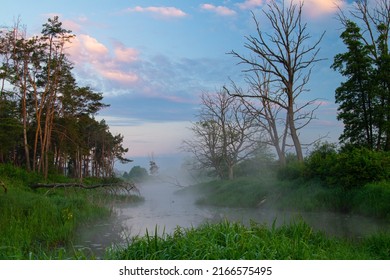 Spring Morning On The Oxbow Lake Of The River