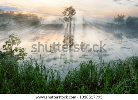 Similar – Image, Stock Photo Foggy river in the morning. Summer misty sunrise