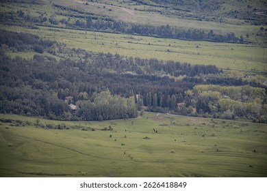 Spring in mountain and forest