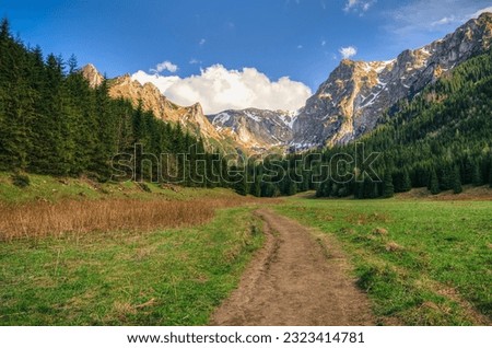 Spring mountain landscape in Polish mountains. Small Valley Meadows in the Western Tatra Mountains. [[stock_photo]] © 