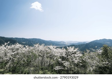 Spring mountain range viewed from the mountaintop