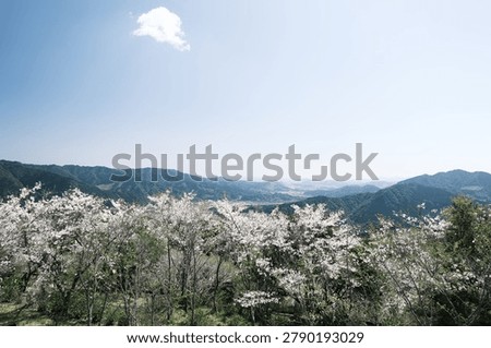 Spring mountain range viewed from the mountaintop